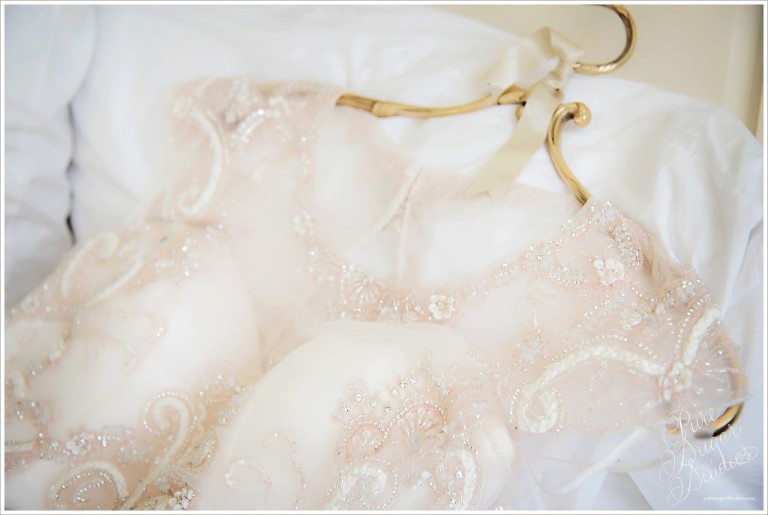 BHLDN hanger, blush dress